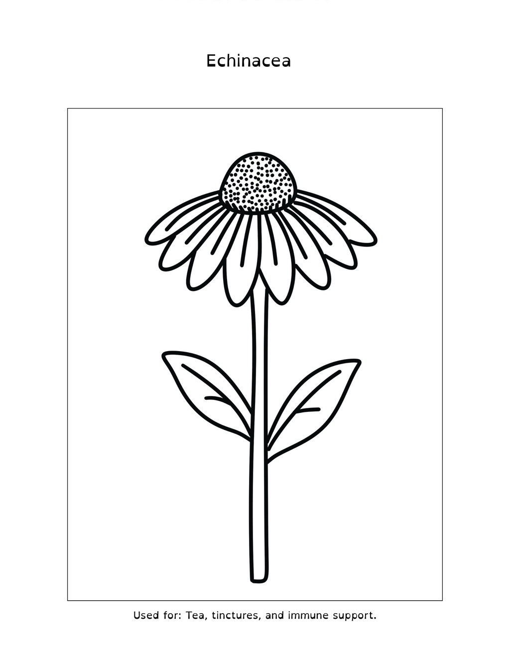 Little Herbalist Coloring & Activity Book (Printable PDF)