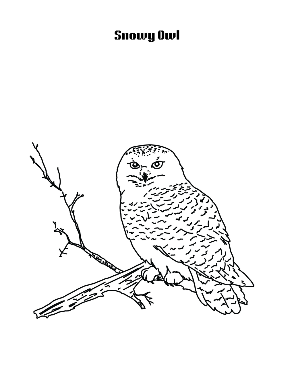 Little Arctic Explorers Coloring Book (Printable PDF)