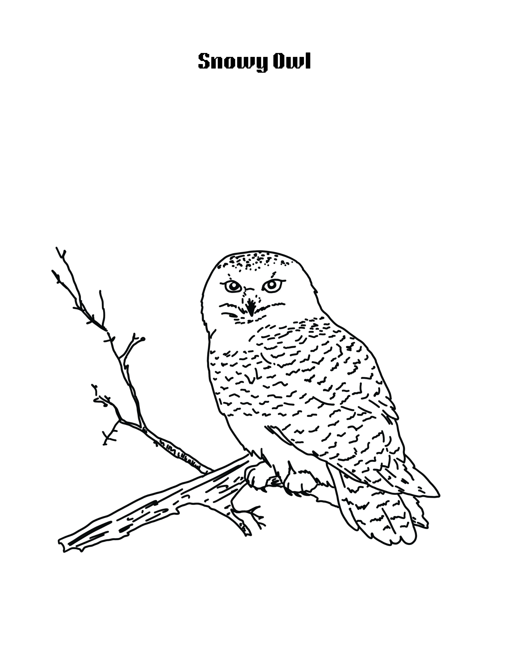 Little Arctic Explorers Coloring Book (Printable PDF)