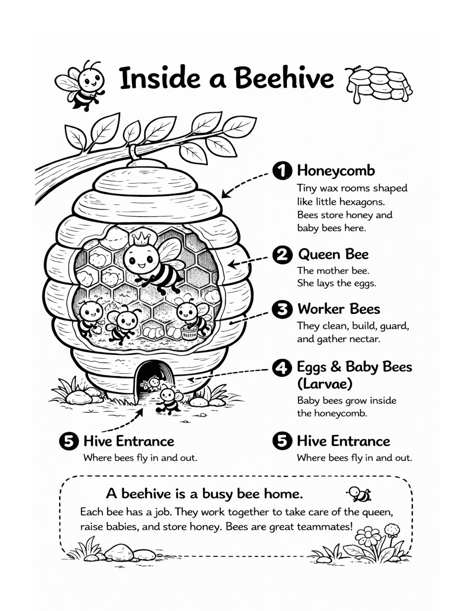 Bzzzy Bee Coloring & Activity Book for Kids (Printable PDF)