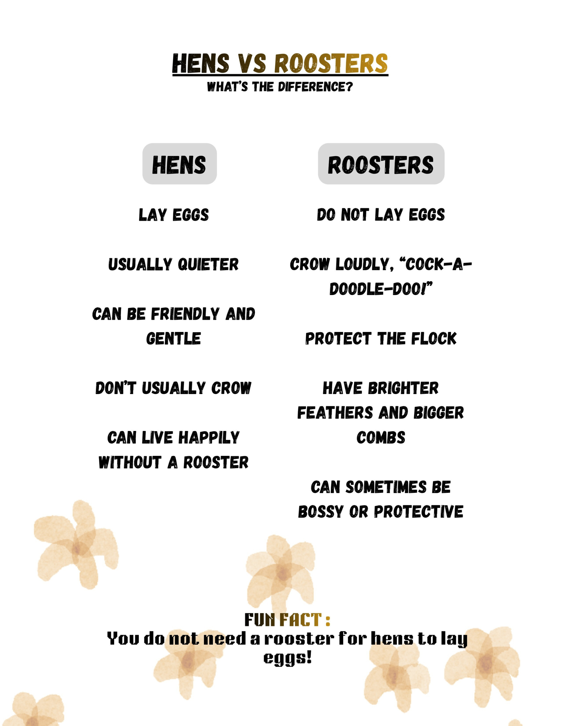 Chicken Coloring Book (Printable PDF)