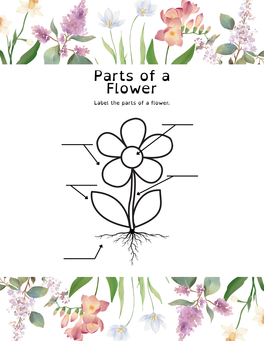 Little Herbalist Coloring & Activity Book (Printable PDF)
