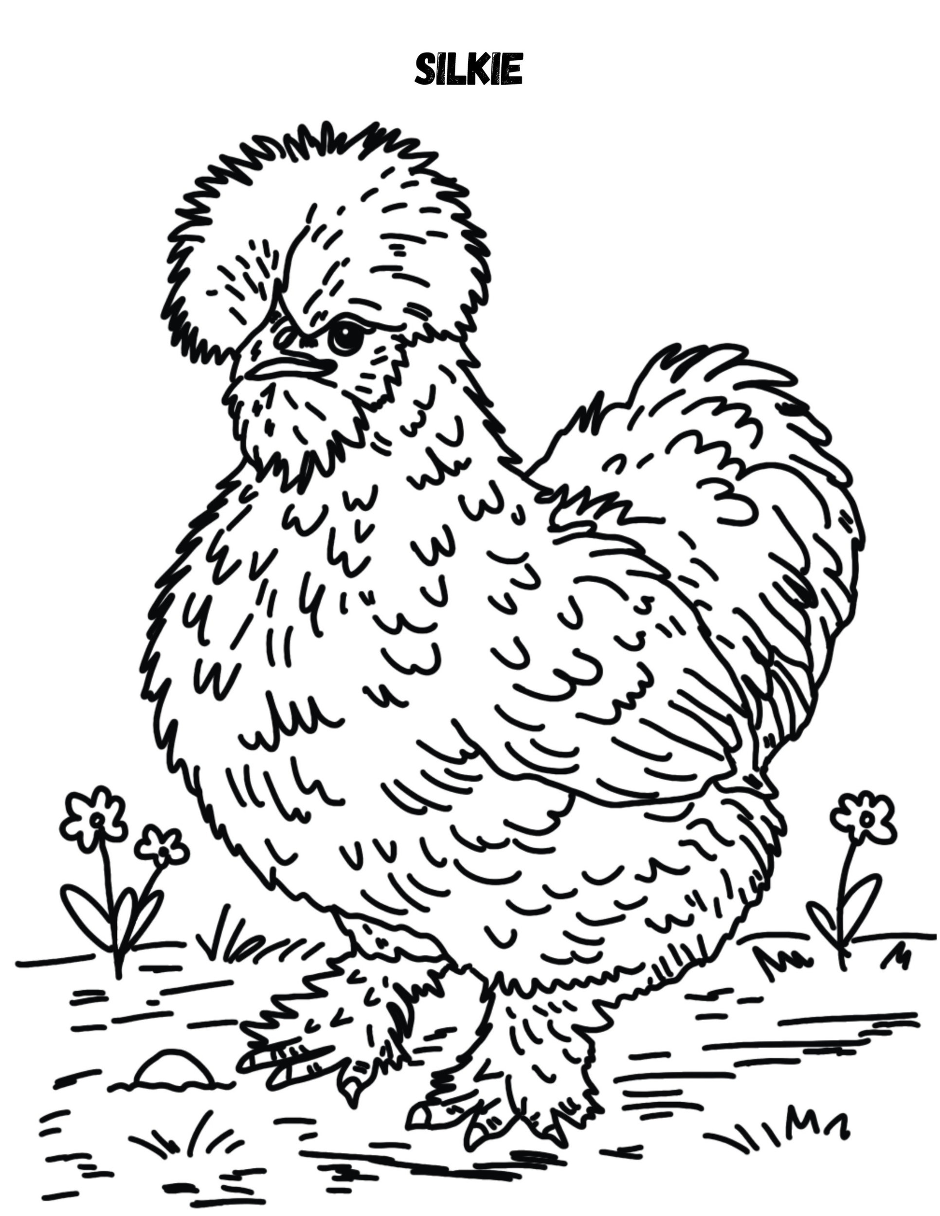 Chicken Coloring Book (Printable PDF)