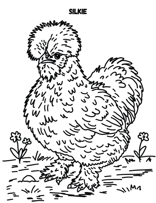 Chicken Coloring Book (Printable PDF)