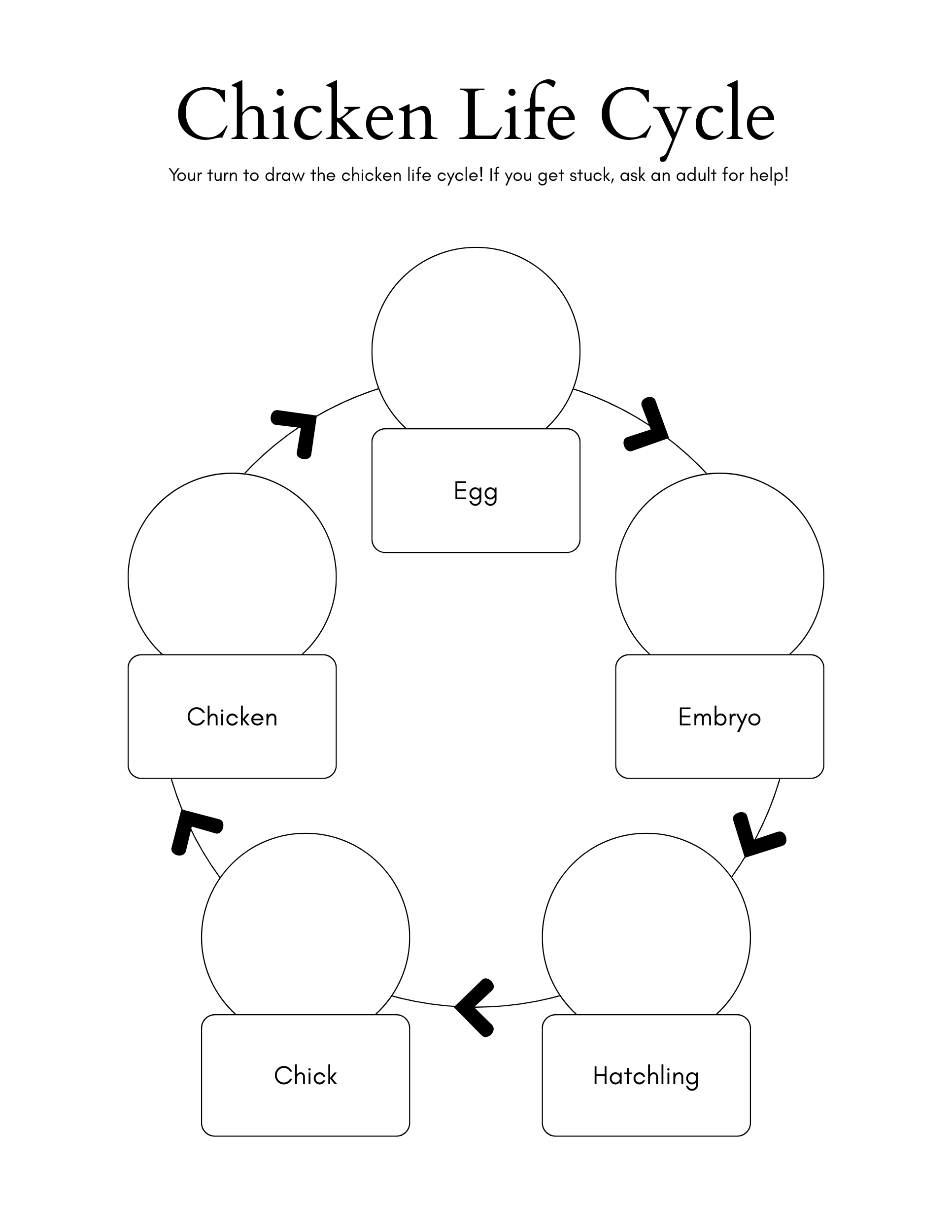 Life Cycles Activity Book for Kids (Printable PDF)
