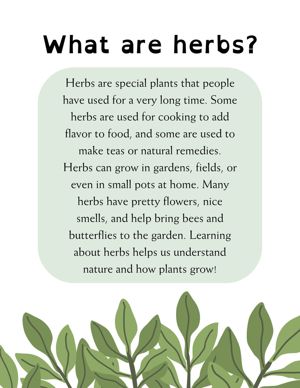 Little Herbalist Coloring & Activity Book (Printable PDF)