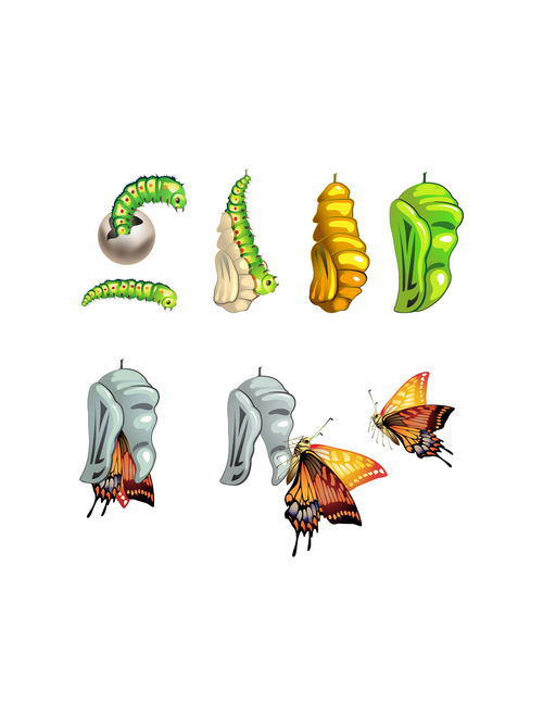 Butterflies Mini Unit (Printable PDF)