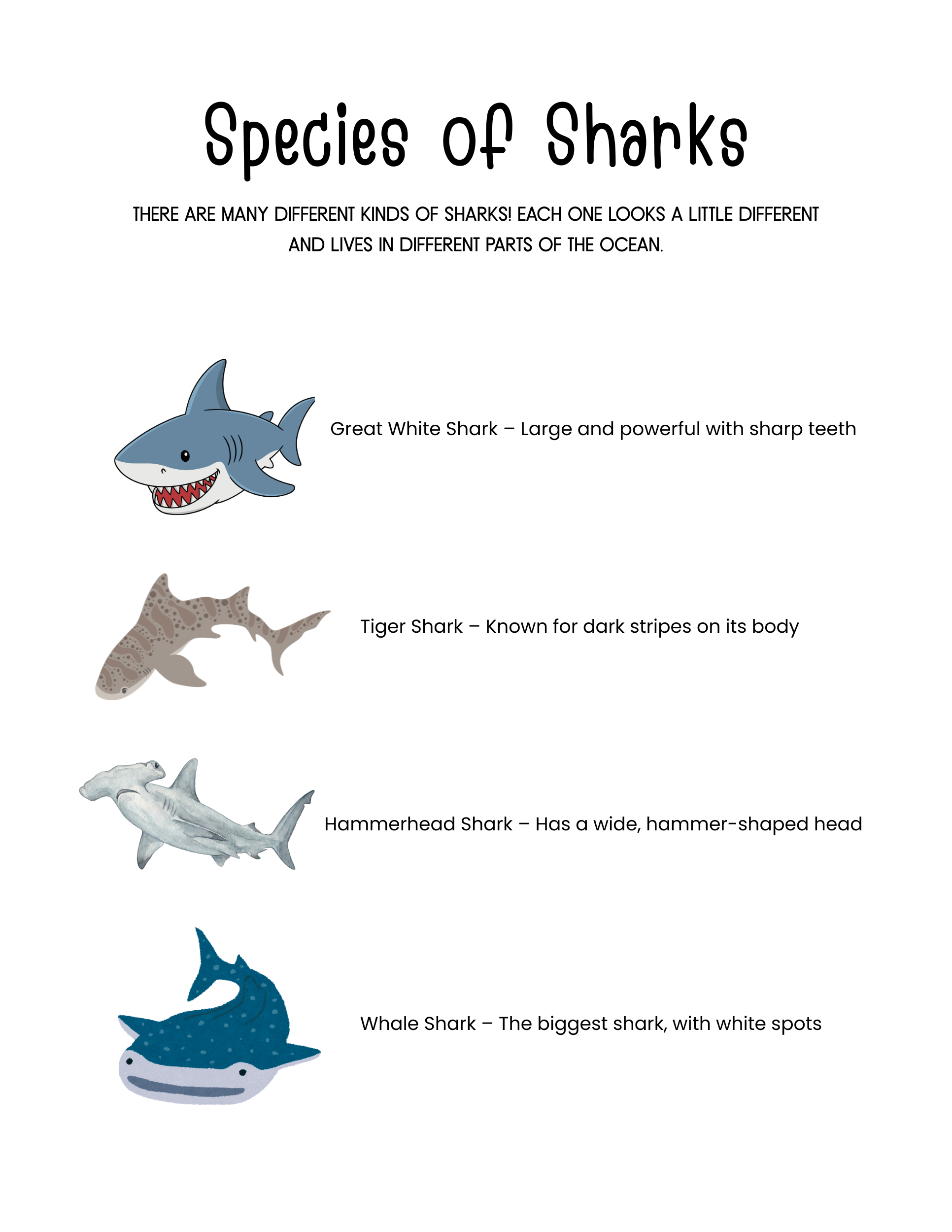 Sharks Mini Unit (Printable PDF)