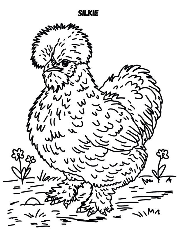 Chicken Coloring Book - Printable PDF (25 Pages) - 8.5x11