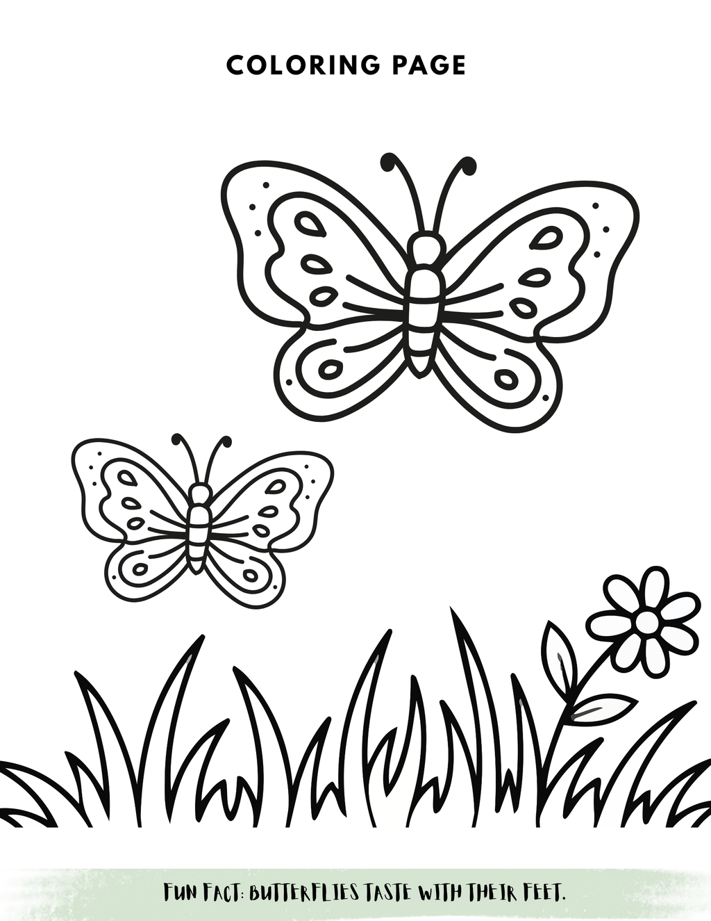 Life Cycles Activity Book for Kids (Printable PDF)