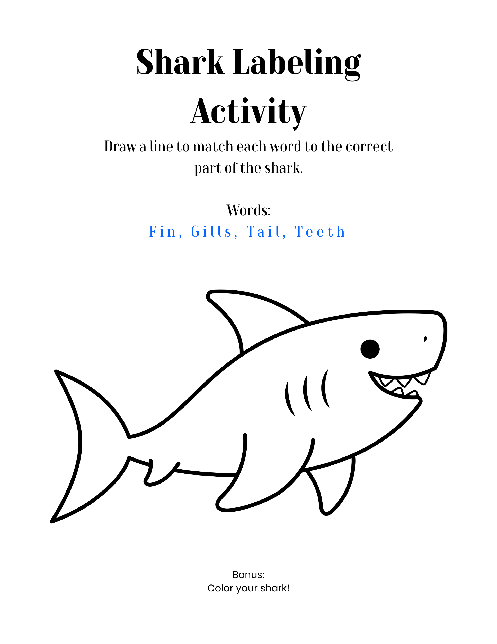 Sharks Mini Unit (Printable PDF)